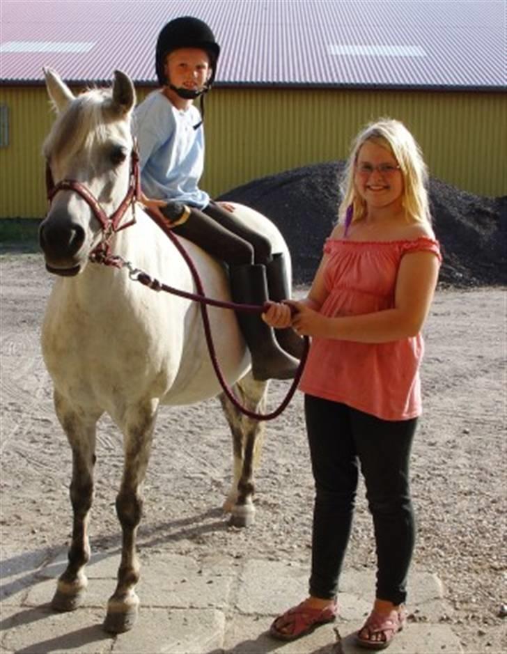 Welsh Pony (sec B) Skovlundegårds Askepot - Caroline. Askepot og mig billede 7