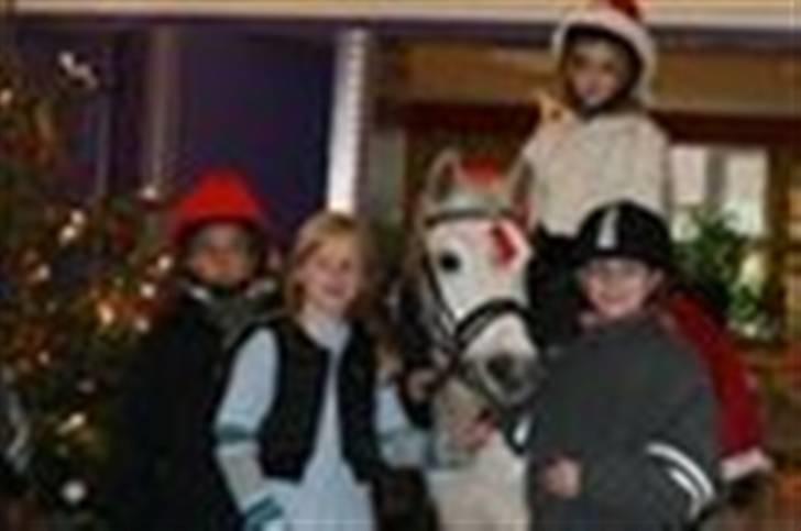 Welsh Pony (sec B) Skovlundegårds Askepot - Askepot inde i ældrecentret toreby til juleoptoget 2007 billede 9