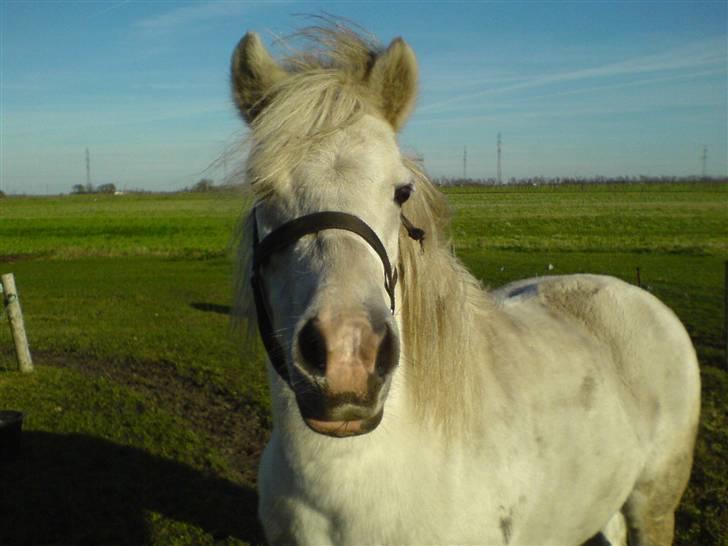 Anden særlig race Debbie - 7) Lidt gammel billede, tror det er fra 2005? ;b. Men syndes det er rat sødt, så det kom ind ;D<33. billede 7