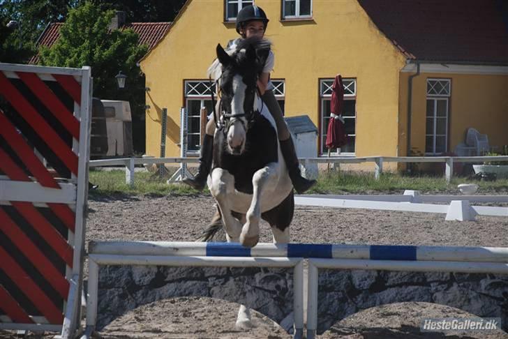 Pinto Gipsy <3 (gamle part <3) - love you<3. kommenter gerne :D billede 20