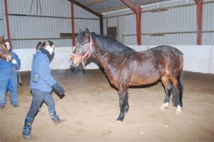 DSP Prins *har reddet* billede 1