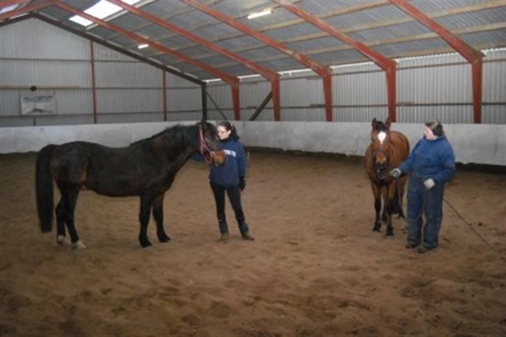 DSP Prins *har reddet* billede 2