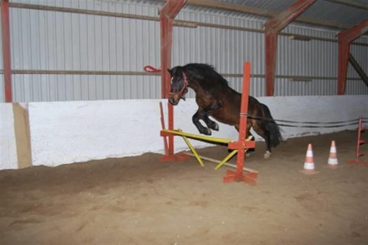 DSP Prins *har reddet* billede 6