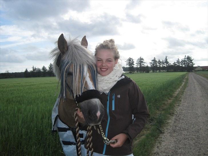 Haflinger Luca<3 billede 12