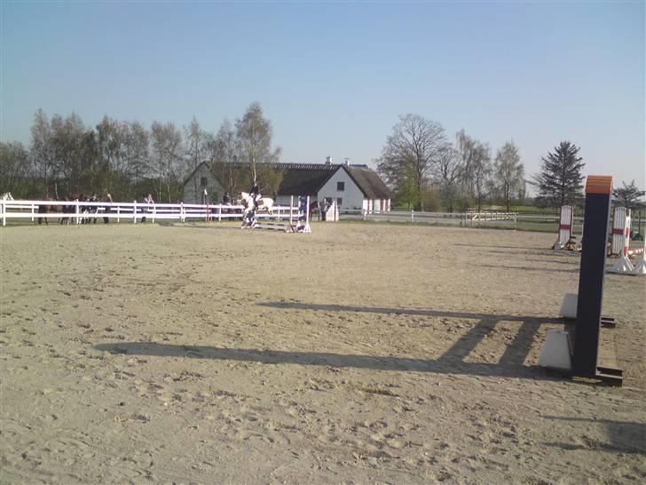 Pinto Bibi - Annesofie & Bibi til springstævne :D Foto: Mig billede 10