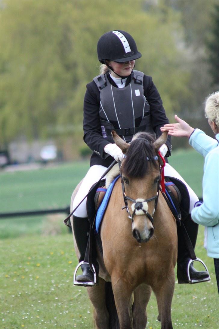 Connemara Com'si billede 14