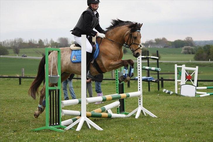 Connemara Com'si billede 10