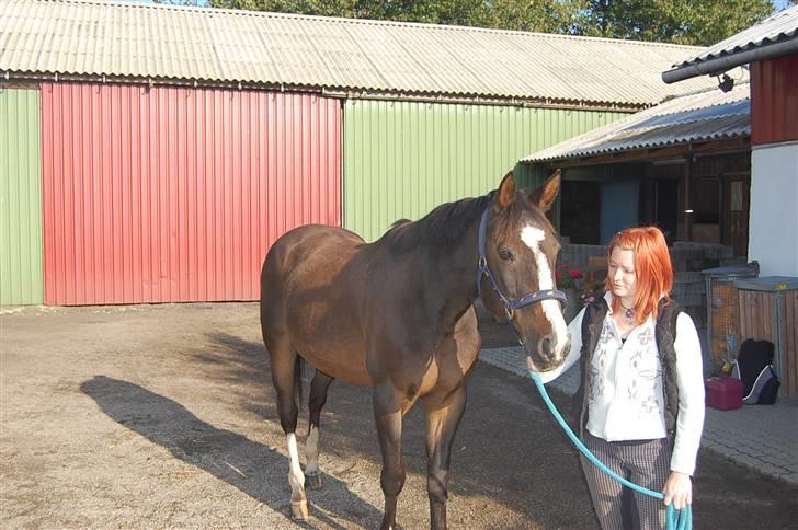 Traver mor's kæle potte okki billede 1