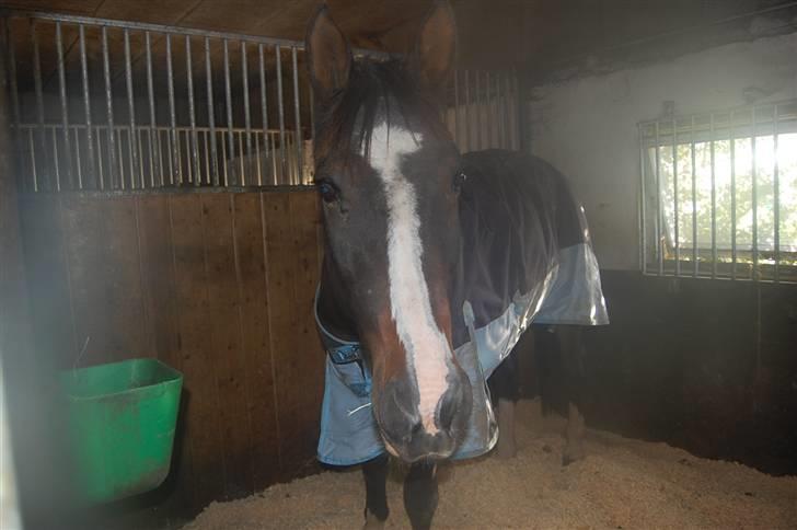 Traver mor's kæle potte okki billede 2