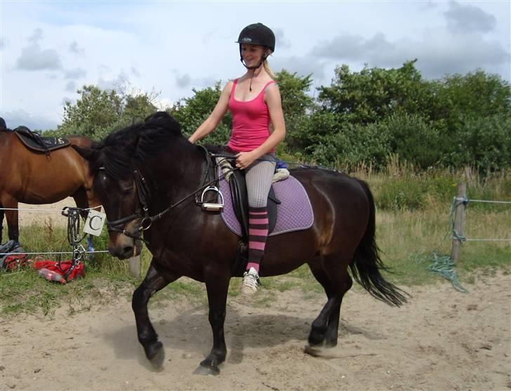 Anden særlig race Bobby - welcome! welcome to another year at hogwarts! before we begin out banquet I would like to say a few words. and here they are: Nitwit! Blubber! Oddment! Tweak! thank you! - Albus Dumbledore <3 billede 5