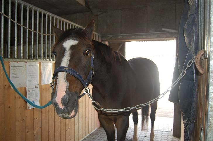 Traver mor's kæle potte okki billede 3