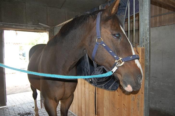 Traver mor's kæle potte okki billede 4