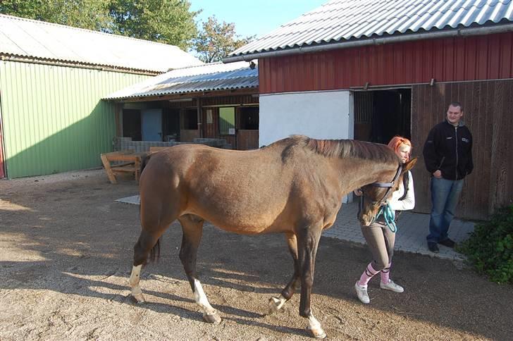 Traver mor's kæle potte okki billede 5