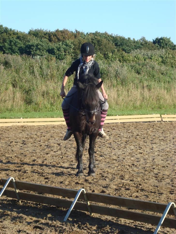 Anden særlig race Bobby - we've got one thing that Voldemort doesn't have. something worth fighting for.. - Harry Potter <3  billede 12