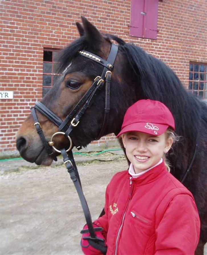 Welsh Pony (sec B) Korreborg's Sonny Boy " SOLGT" :( - Korreborg´s Sonny Boy og Sofia billede 10