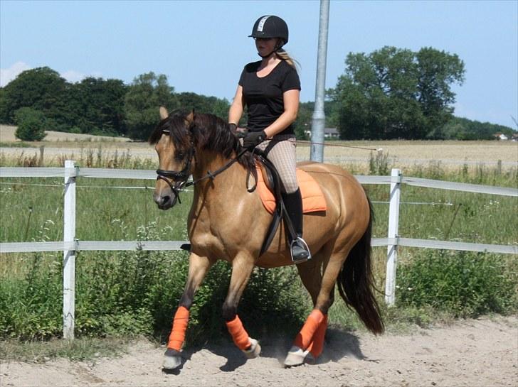 Connemara Com'si billede 13