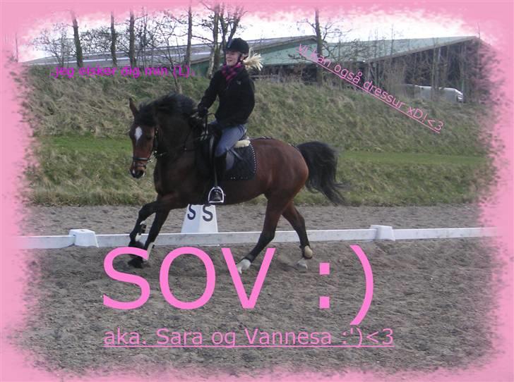 Anden særlig race Vanessa <3   - Det siger jo sig selv<3 Redigeret af: Regitze Sørensen. billede 16