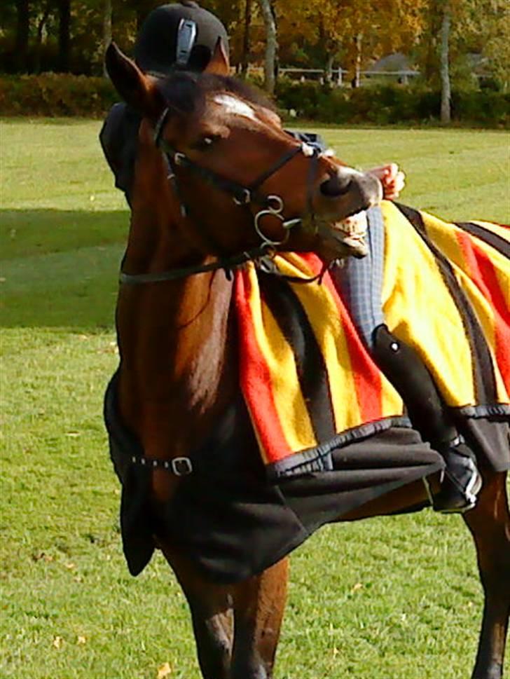 Anden særlig race Vanessa <3   - JegElskerDig utrolig højt!i:<3 Fotograf: Kate H. Jakobsen. billede 18