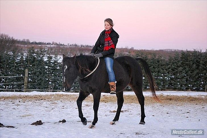 Traver Ideal Højbo (Sammy) - Endnu et super godt billede af Sammy og Sophie. De er bare så gode sammen! Foto: ESC billede 12