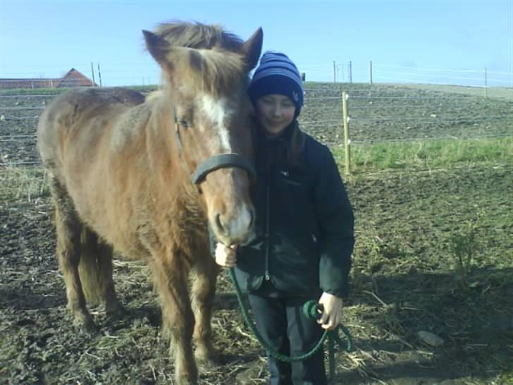 Islænder Kylja frá Wiesenhof - Mig og smukke lidt tid før jeg fik hende<3 billede 8