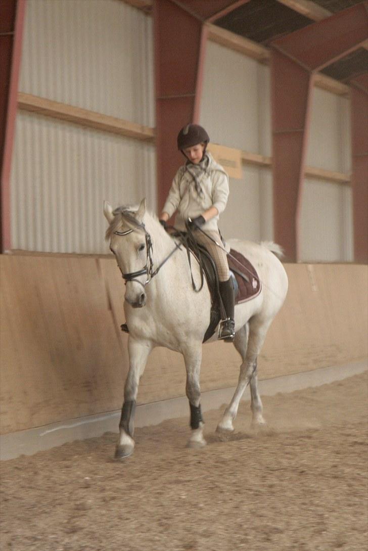 Anden særlig race Nicole - Undervisning :) - Juni 2009 billede 2