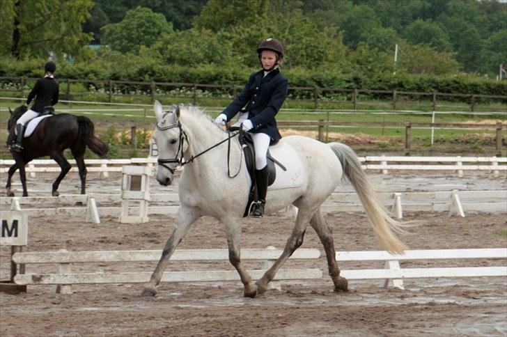 Anden særlig race Nicole - Sløjfedressur, LC2 - juni 2009 billede 6