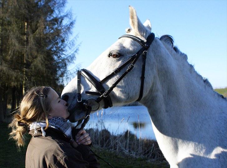 Anden særlig race Nicole - Fotosession april 2009 billede 7