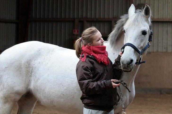 Anden særlig race Nicole - Jeg elsker dig! - marts 2010 billede 9