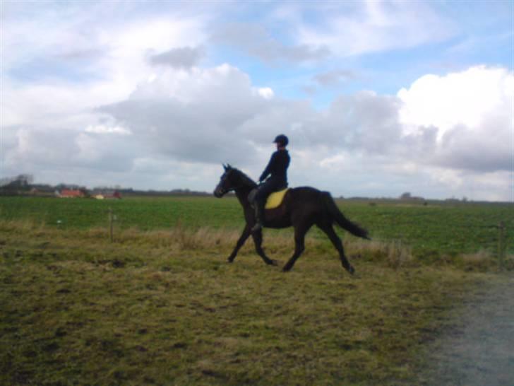 Traver Vanderbilt *helpart* - » en bette travtur med nedsidning, nu når jeg endelig kan (; billede 18