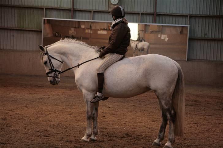 Anden særlig race Nicole - Hygge ridning :) - maj 2009 billede 16