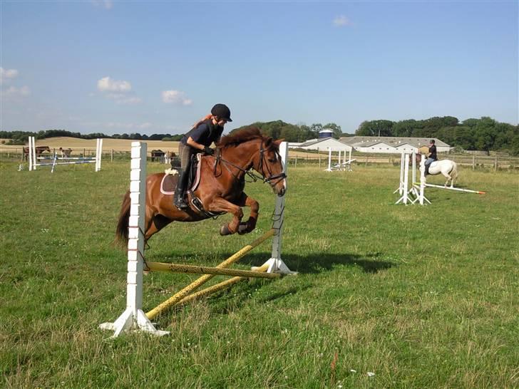 Anden særlig race Fakir.!  - Spring -  sommeren 09. billede 2