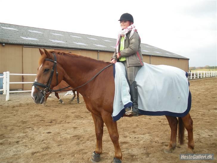 Anden særlig race Fakir.!  - Oktober 2009 billede 4