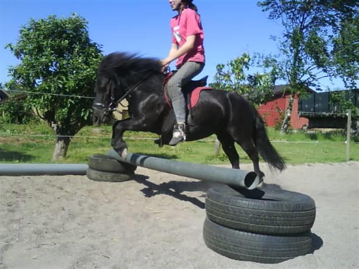 Shetlænder Olga! R.I.P SAVNET!!! :'( - Hun elsker det virkelig! billede 13