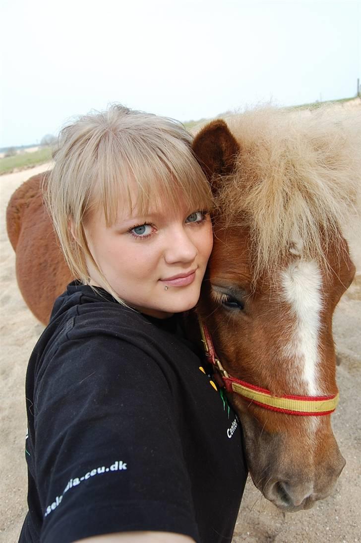 Shetlænder Batman Junior - Batman og jeg.. billede 5
