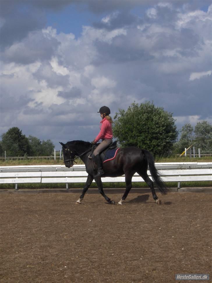 New Forest meteor - Smukke meteor billede 1