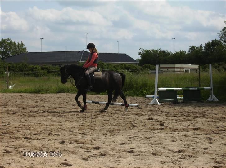 New Forest meteor - Sødt billede billede 2