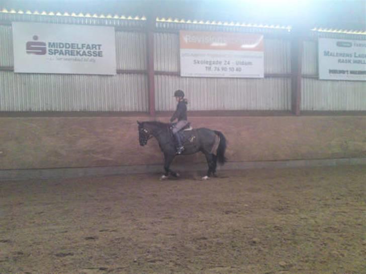 New Forest meteor - Han er så sød billede 3