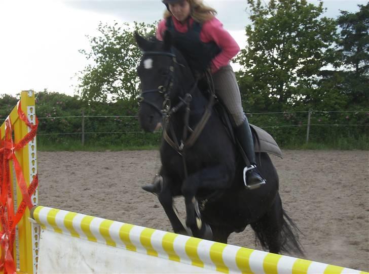 New Forest meteor - sødt billede billede 4