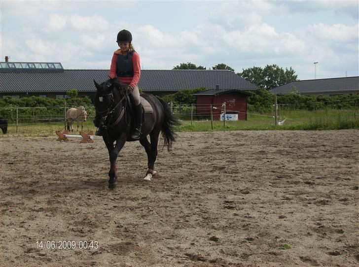 New Forest meteor - flot fur billede 5