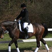 Anden særlig race Bella - 14.05.2001 - 19.11.2012