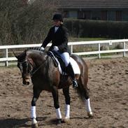 Anden særlig race Bella - 14.05.2001 - 19.11.2012