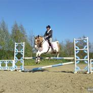 Anden særlig race *Tea's Baby Dolly*