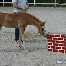 DSP Brandamens Jabari SOLGT