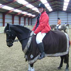 Anden særlig race Kila´s Sambo (SOLGT)