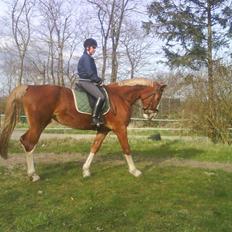 Frederiksborg Emilie (Mille) #solgt#