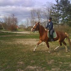 Frederiksborg Emilie (Mille) #solgt#