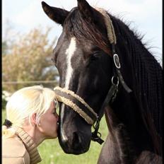 Anden særlig race Noir Rêver