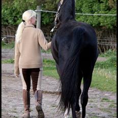 Anden særlig race Noir Rêver