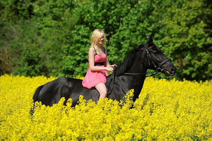 Oldenborg Clausagergårds Mette  billede 6