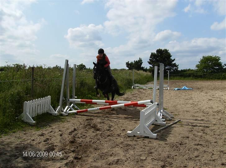 New Forest meteor - Du er så dygtig ( bommen er lagt sådan) billede 6